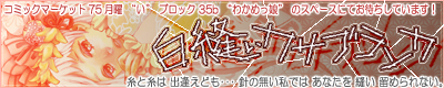 白縫いカサブランカ